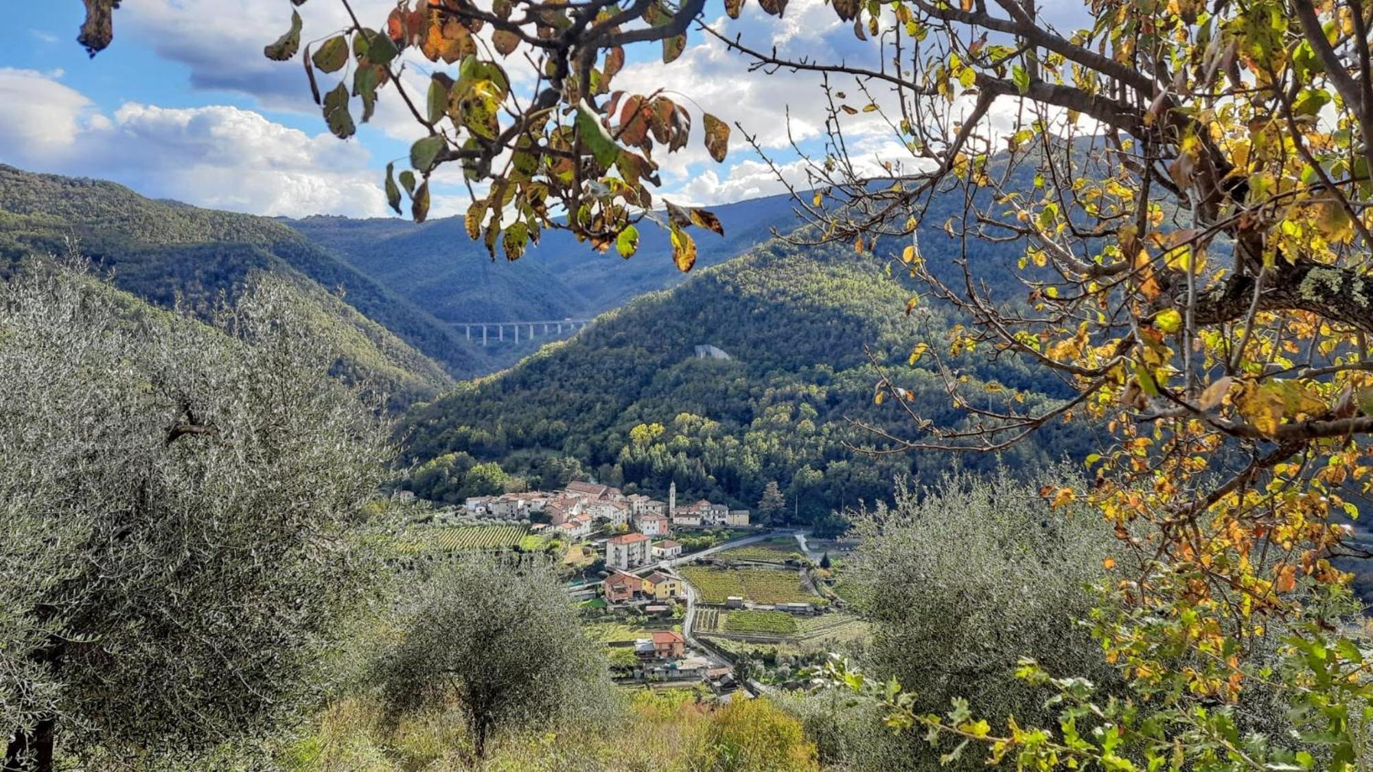 Agriturismo A Ca Du Paiperu Pieve di Teco Екстериор снимка